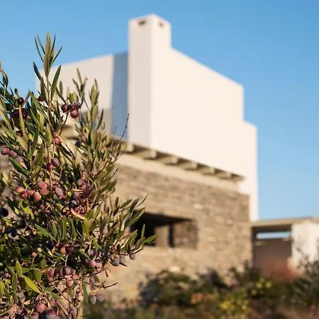 Aelia Sunset パロス島