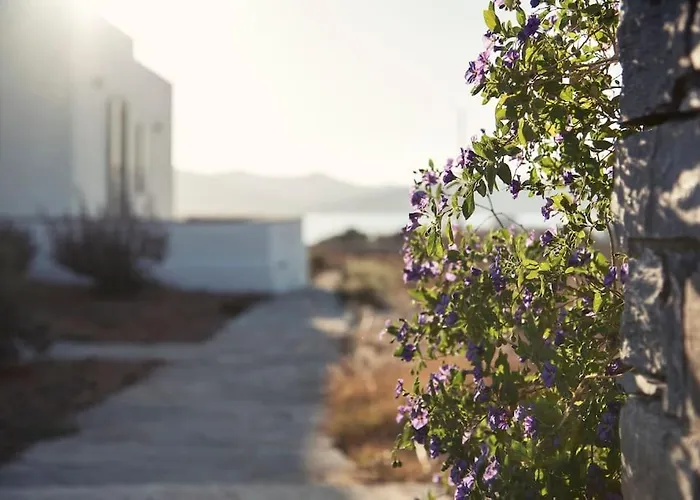 Semesterbostad Aelia Sunset