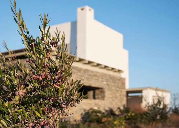 Aelia Sunset パロス島